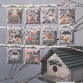 PRAIRIE BIRDS  by The Prairie Schooler Cross Stitch Pattern Book, Hoffman Reprint, Chart No. 24