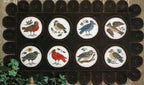 GARDEN BIRDS By The Prairie Schooler Counted Cross Stitch Pattern Leaflet Chart Book No. 56
