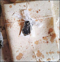 WITCH TINA ~ 32 ct Linen from Fairy Wool in the Wood ~ 35 x 39 inches ~ Hand Dyed Italian Linen ~ Cross Stitch Fabric