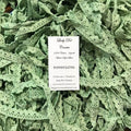 DANDELIONS ~ LACE by Lady Dot Creates  2 Yards  Hand-Dyed Lace  100% Cotton  Finishing  Craft Project Trim