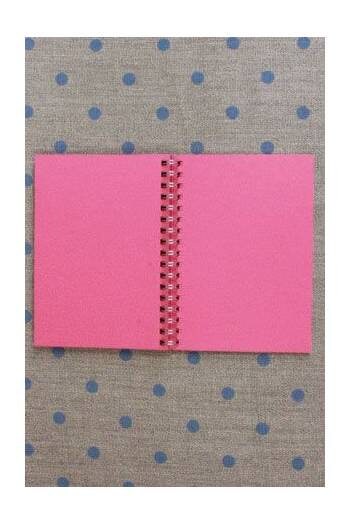 MAISON SAJOU Spiral Bound Note Book - Fil Au Chinois 1911 ~ 50 Pages Pink Notebook ~ Made in France