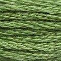 DMC Floss Color 988 "Medium Forest Green" Embroidery Floss 2 skeins, 6 Strand Thread for Embroidery, Cross Stitch, Needlepoint, Sewing