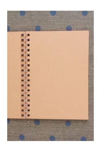 MAISON SAJOU Spiral Bound Note Book - Fil Au Chinois 1915 ~ 50 Pages Orange Notebook ~ Made in France