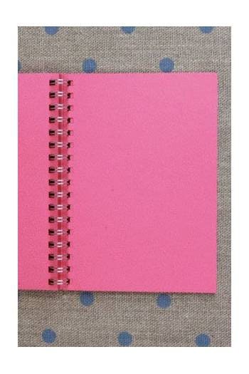MAISON SAJOU Spiral Bound Note Book - Fil Au Chinois 1911 ~ 50 Pages Pink Notebook ~ Made in France