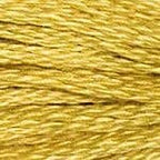 DMC Floss Color 3821 "Dark Straw" Embroidery Floss 2 skeins, 6 Strand Thread for Embroidery, Cross Stitch, Needlepoint, Sewing