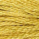 DMC Floss Color 3821 "Dark Straw" Embroidery Floss 2 skeins, 6 Strand Thread for Embroidery, Cross Stitch, Needlepoint, Sewing