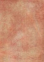 OAK CREEK ~ 40 ct. Newcastle Linen by Seraphim Fabrics ~ Hand Dyed Seraphim Fabrics by Laurie ~ 40 count ~ Zweigart Base