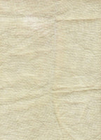 CASTLE RUSHES ~ 28 ct. Cashel Linen by Seraphim Fabrics ~ Hand Dyed Seraphim Fabrics by Laurie ~ 28 count ~ Zweigart Base