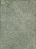 MOSS ~ 28 ct. Cashel Linen by Seraphim Fabrics ~ Hand Dyed Seraphim Fabrics by Laurie ~ 28 count ~ Zweigart Base