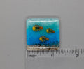 BEAU VERRE ART "Harlequin Fish Fused Glass Needle Minder"  Fused Glass  Magnet  Needleminder  One-of-a-Kind, Handcrafted, 5217