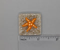 BEAU VERRE ART "Star Fish Needle Minder"  Fused Glass Magnet  Summer, Beach, Needleminder  One-of-a-Kind, Handcrafted 5313L