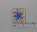BEAU VERRE ART "Star Fish Needle Minde5313L