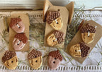 Rovaris ~ Ceramic Acorn Buttons, Handcrafted and Imported from Samone, Italy