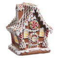 RAZ IMPORTS ~ 6.5" Lighted Sprinkle Gingerbread House Christmas Decoration 4516332 ~ K112 ~ Free Shipping ~ New for 2025