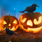 Halloween Decor - Realistic Black Feathered Crows - Lifelike Birds ~ Feather Foam-Filled Fabric ~ Set of 3 ~ Halloween Decorations H102