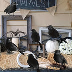 Halloween Decor - Realistic Black Feathered Crows - Lifelike Birds ~ Feather Foam-Filled Fabric ~ Set of 3 ~ Halloween Decorations H102