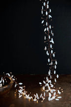 LUMINA OF LONDON ~ Leaf Cluster Fairy Lights ~ Indoor ~ 150 Led Fairy String Lights ~ Battery Operated ~ 8 Ft ~ New for 2026