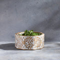 Mya Inlay Bowl ~ Wood & Resin Inlay Bowl ~ 12" Diameter ~ Stunning! ~ Home Decor ~ New for 2026