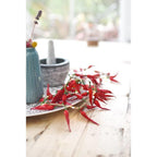 LUMINA OF LONDON ~ Chilli Pepper String Lights ~ Indoor Use Only ~ 20 Warm White Leds Lights ~ Battery Operated ~ 8 Ft ~ New for 2026