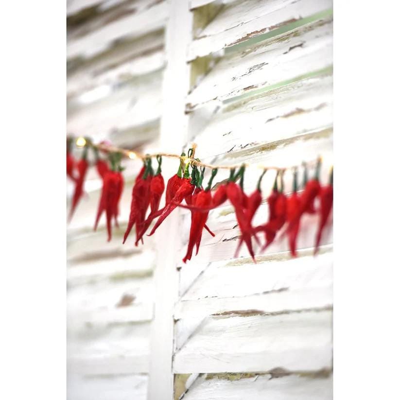 LUMINA OF LONDON ~ Chilli Pepper String Lights ~ Indoor Use Only ~ 20 Warm White Leds Lights ~ Battery Operated ~ 8 Ft ~ New for 2026