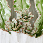 One-Of-A-Kind Green Leaf Design White Ceramic Vase ~ Artisan Thai Pottery ~ 4.75"H, 6"W," ~ Beautifully Hand Sculpted ~ Home Decor ~ KV245XS