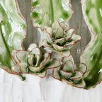 One-Of-A-Kind Green Leaf Design White Ceramic Vase ~ Artisan Thai Pottery ~ 6.5"H, 8"W, ~ Beautifully Hand Sculpted ~ Home Decor ~ KV245M