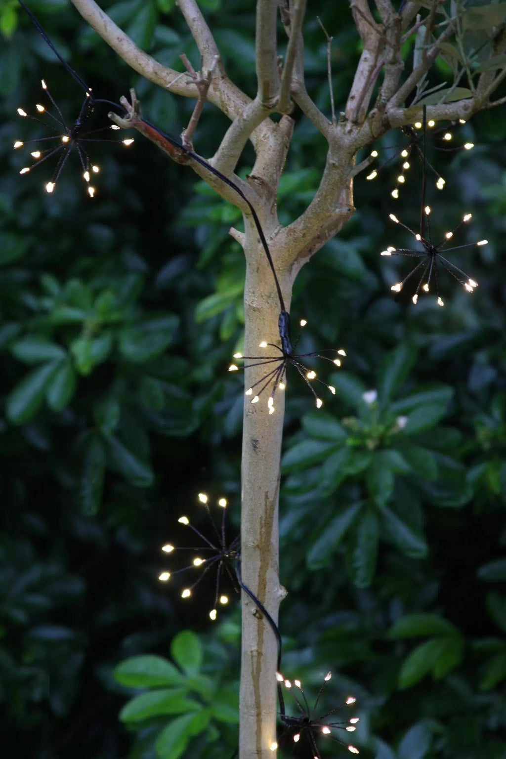 LUMINA OF LONDON ~ Starburst Chain Lights ~ Indoor/Outdoor ~ 150 Led Fairy String Lights ~ Battery Operated ~ 8 Ft ~ New for 2026