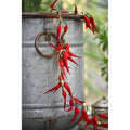 LUMINA OF LONDON ~ Chilli Pepper String Lights ~ Indoor Use Only ~ 20 Warm White Leds Lights ~ Battery Operated ~ 8 Ft ~ New for 2026