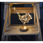 LUMINA OF LONDON ~ Robin Light Ornament ~ Cute 20 Warm Led Lights ~ For Indoor Use ~ Battery Operated ~ New for 2026