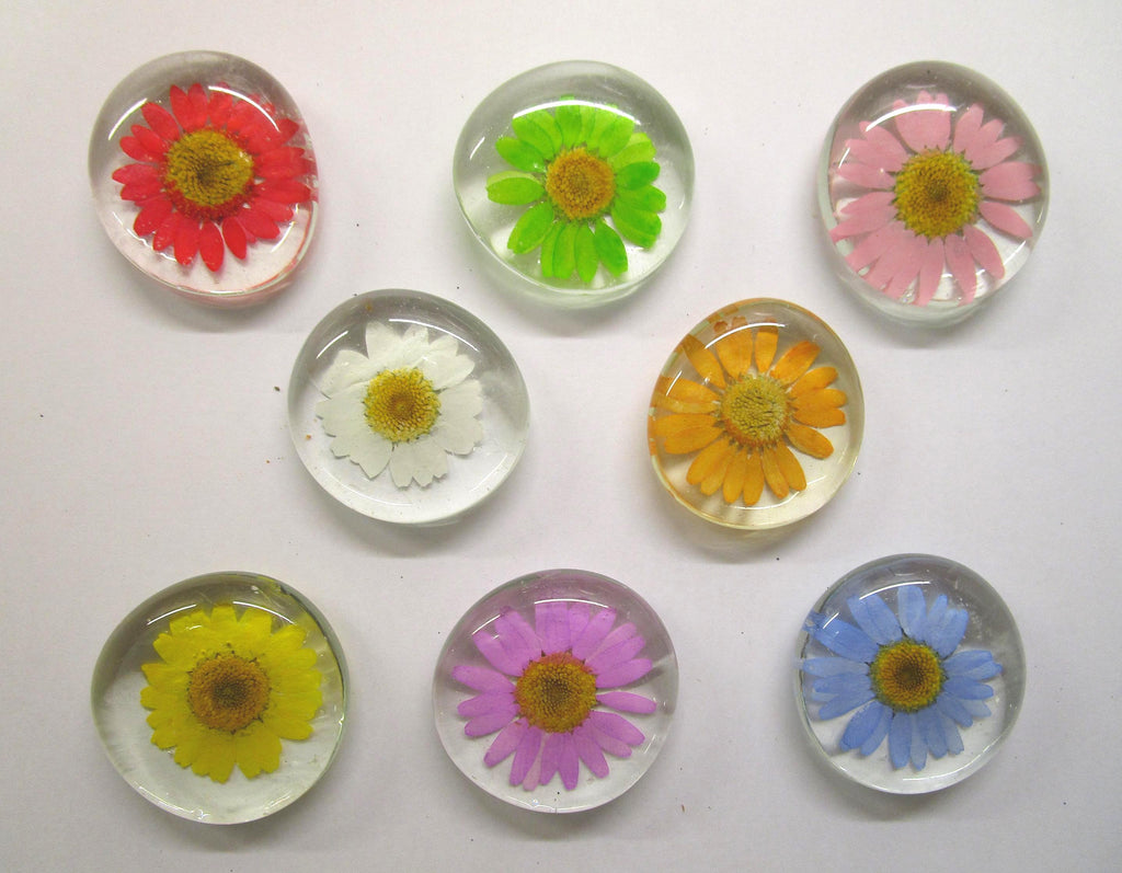 KINGSLAND NEEDLE MINDER "Pressed Floral Glass Needle Minder"  Real Dried Flowers  Neodymium Magnet  Needle dock  One-of-a-Kind
