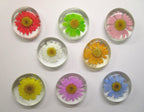KINGSLAND NEEDLE MINDER "Pressed Floral Glass Needle Minder"  Real Dried Flowers  Neodymium Magnet  Needle dock  One-of-a-Kind